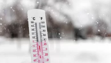 زیر تیغ یخبندان