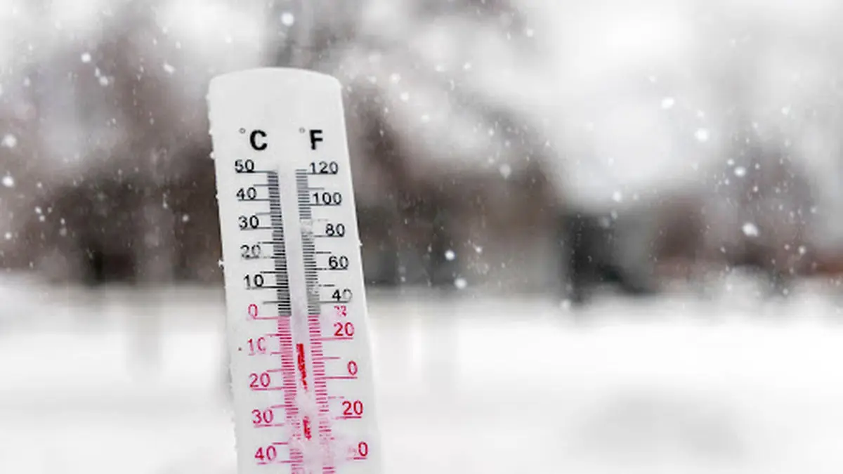 زیر تیغ یخبندان