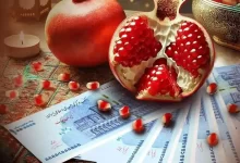 سود سهام عدالت