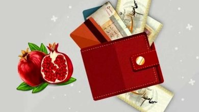 سود سهام عدالت