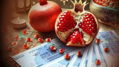 سود سهام عدالت