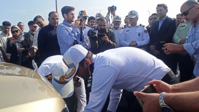 شماره‌گذاری خودروهای وارداتی دست‌دوم کلید خورد