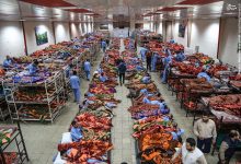 شب‌های سرد