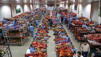 شب‌های سرد