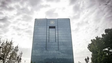 فرزین زیر فشار نوسانات دلار؛ گمانه جدی درباره بازگشت همتی به میدان