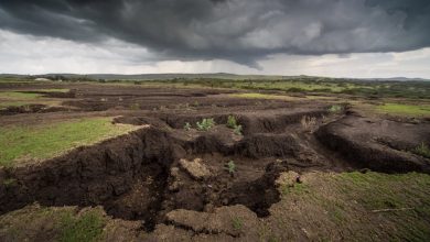ایران در مرز نابودی خاک؟ عدد تکان‌دهنده فرسایش خاک که تازه افشا شد