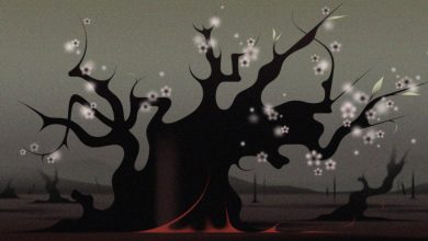 فروپاشی جوامع