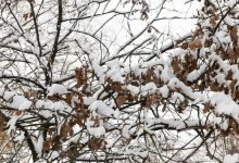 مناطقی در خطر