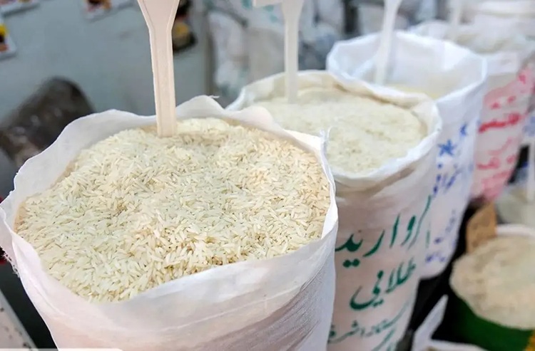 قیمت برنج
