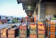 میوه هم گران