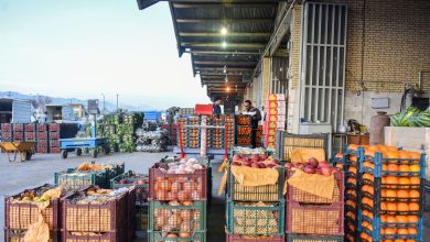 میوه هم گران