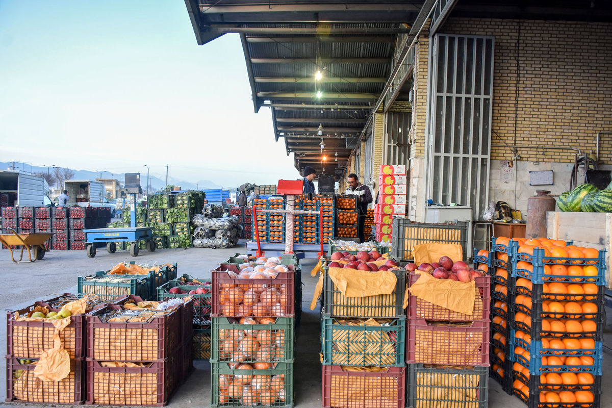 میوه هم گران