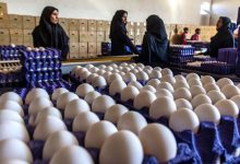 قیمت تخم‌مرغ