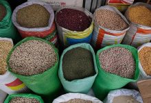 خشکسالی و تورم: عوامل اصلی نوسان قیمت حبوبات در بازار