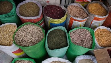 خشکسالی و تورم: عوامل اصلی نوسان قیمت حبوبات در بازار