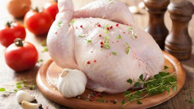 فیله و سینه