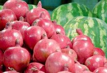 قیمت‌های جدید میوه‌ها در تهران؛ نارنگی ۸۴ هزار تومان و هندونه ۳۵ هزار تومان