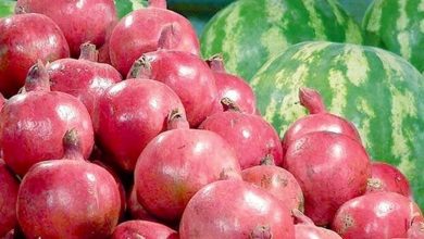 قیمت‌های جدید میوه‌ها در تهران؛ نارنگی ۸۴ هزار تومان و هندونه ۳۵ هزار تومان