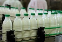 لبنیات یارانه‌ای ارزان