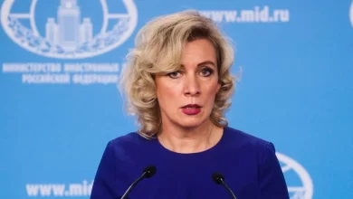 فعالیت‌های آژانس