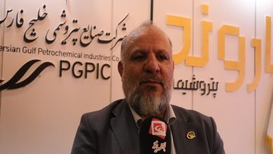 رشد پایدار و سودآوری بلندمدت