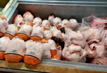 قیمت مرغ ۱۷۰ هزار تومانی شد؛ قیمت تخم مرغ کانال جدید را فتح کرد