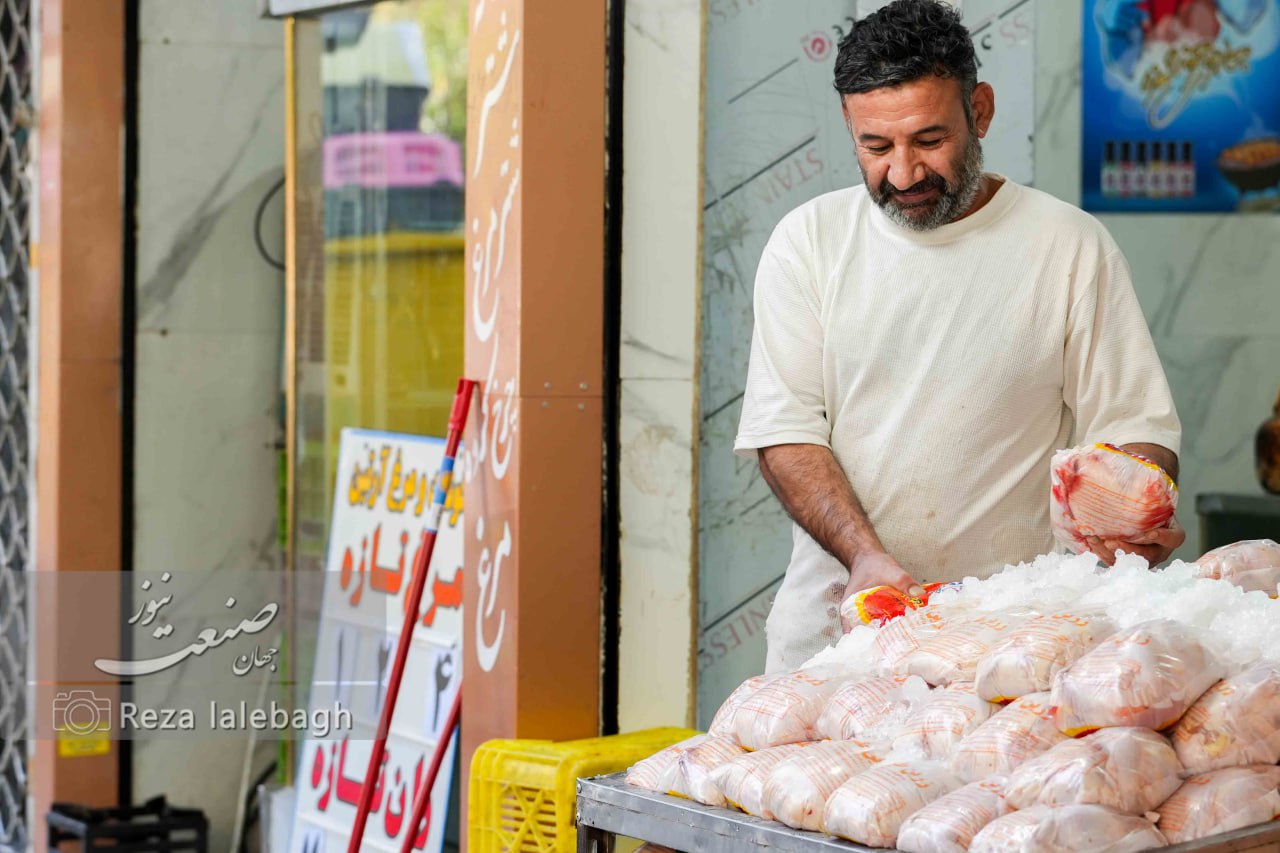عرضه مرغ منجمد با قیمت ۱۲۵ هزار تومان در تهران