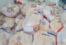 توزیع مرغ منجمد در تهران با قیمت کمتر از 100 هزار تومان آغاز شد