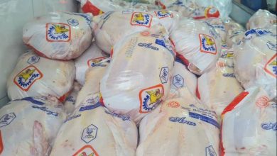 توزیع مرغ منجمد در تهران با قیمت کمتر از 100 هزار تومان آغاز شد