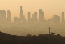 عضو شورای شهر تهران: آمار فوتی‌ها به خاطر آلودگی هوا به ۲۲۰ نفر در روز رسید!