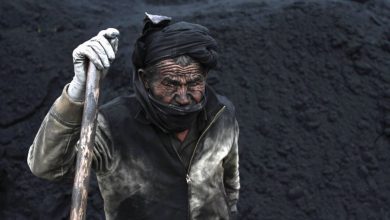 مشارکت کارگران و کارفرمایان