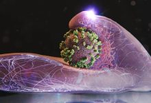 موج شدید آنفلوآنزا فروکش کرد