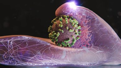 موج شدید آنفلوآنزا فروکش کرد