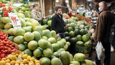 زنگ هشدار یلدا به صدا درآمد؛ انفجار قیمت انار و جهش هندوانه