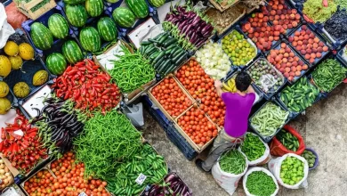 قیمت میوه و سبزیجات رکورد زد؛ خیار ۹۰ هزار تومان، گوجه ۶۰ هزار تومان شد!