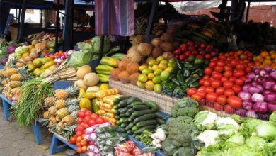 صعود دوباره قیمت