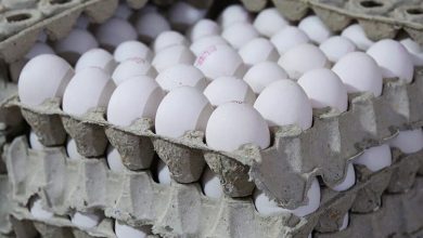 نهاده های دامی