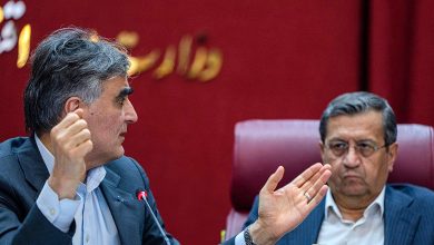 همتی-و-فرزین