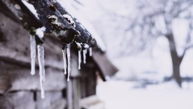 هوای ۱۹ استان روی لبه یخ‌زدگی؛ زمستان وارد فاز سخت شد