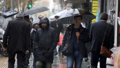 دمای تهران تا اوایل هفته آینده کاهش می‌یابد؛ آماده مه و یخبندان باشید