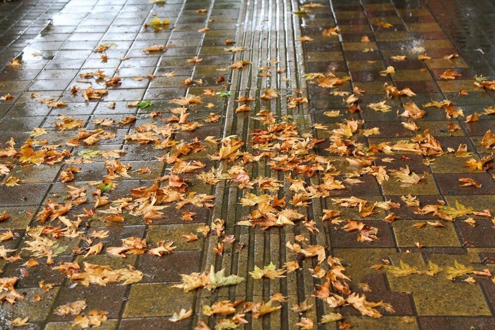 هشدار نارنجی هواشناسی: بارشهای شدید و خطرناک در ۱۱ استان