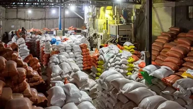 گران می‌رسد