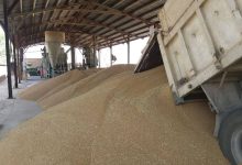 آزادسازی واردات