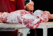 واردات گوشت