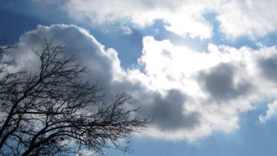 هوای پایتخت