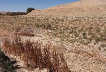 خشک‌ترین پاییز رکورد زد؛ بارش‌های هفته آینده چقدر امیدبخش‌اند؟