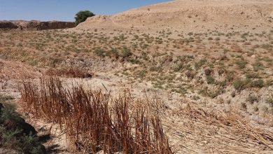 خشک‌ترین پاییز رکورد زد؛ بارش‌های هفته آینده چقدر امیدبخش‌اند؟