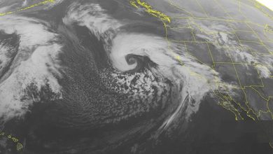 پدیده ال‌نینو