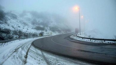 چالوس و آزادراه تهران–شمال سفیدپوش شدند