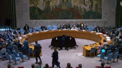 چرا سازمان ملل بر «پایدار» بودن صلح تأکید دارد؟